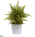 Silk Plants Direct Fern Artificial Plant - Pack of 1