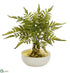 Silk Plants Direct Fern Artificial Plant - Pack of 1