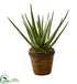 Silk Plants Direct Aloe Artificial Plant - Pack of 1