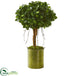 Silk Plants Direct Ficus Artificial Tree - Pack of 1