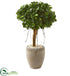 Silk Plants Direct Ficus Artificial Tree - Pack of 1