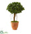 Silk Plants Direct Ficus Artificial Tree - Pack of 1