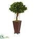 Silk Plants Direct Ficus Artificial Tree - Pack of 1