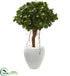 Silk Plants Direct Ficus Artificial Tree - Pack of 1