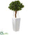 Silk Plants Direct Ficus Artificial Tree - Pack of 1