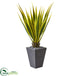 Silk Plants Direct Agave Artificial Plant - Pack of 1