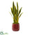 Silk Plants Direct Sansevieria Artificial Plant - Pack of 1