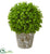 Silk Plants Direct Eucalyptus Artificial Ball - Pack of 1