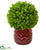 Silk Plants Direct Eucalyptus Artificial Ball - Pack of 1