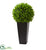 Silk Plants Direct Eucalyptus Artificial Ball - Pack of 1