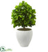 Silk Plants Direct Ficus Artificial Tree - Pack of 1