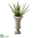 Silk Plants Direct Aloe Artificial Plant - Pack of 1