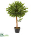 Silk Plants Direct Olive Topiary Artificial - Pack of 1