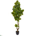 Silk Plants Direct Rubber Leaf Artificial Tree - Pack of 1