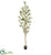 Silk Plants Direct Olive Artificial Tree - Pack of 1