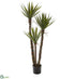 Silk Plants Direct Yucca Artificial Tree - Pack of 1