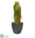 Silk Plants Direct Sansevieria Artificial Plant - Pack of 1