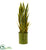 Silk Plants Direct Sansevieria Artificial Plant - Pack of 1