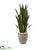 Silk Plants Direct Sansevieria Artificial Plant - Pack of 1