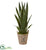 Silk Plants Direct Sansevieria Artificial Plant - Pack of 1