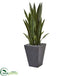 Silk Plants Direct Sansevieria Artificial Plant - Pack of 1