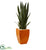 Silk Plants Direct Sansevieria Artificial Plant - Pack of 1