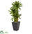 Silk Plants Direct Triple Cycas Artificial Plant - Pack of 1