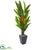 Silk Plants Direct Heliconia Artificial Plant - Pack of 1