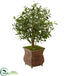 Silk Plants Direct Olive Artificial Tree - Pack of 1