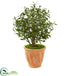 Silk Plants Direct Olive Artificial Tree - Pack of 1