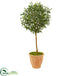 Silk Plants Direct Olive Artificial Tree - Pack of 1