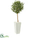 Silk Plants Direct Olive Artificial Tree - Pack of 1