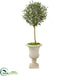 Silk Plants Direct Olive Artificial Tree - Pack of 1