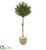 Silk Plants Direct Olive Topiary Artificial Tree - Pack of 1