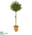 Silk Plants Direct Olive Topiary Artificial Tree - Pack of 1