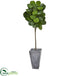 Silk Plants Direct Fiddle Leaf Artificial Tree - Pack of 1