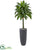 Silk Plants Direct Dracaena Artificial Plant - Pack of 1