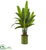 Silk Plants Direct Travelers Palm Artificial Tree - Pack of 1