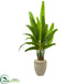 Silk Plants Direct Travelers Palm Artificial Tree - Pack of 1