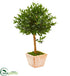 Silk Plants Direct Olive Topiary Artificial Tree - Pack of 1