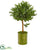 Silk Plants Direct Olive Topiary Artificial Tree - Pack of 1