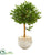 Silk Plants Direct Olive Topiary Artificial Tree - Pack of 1