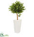 Silk Plants Direct Olive Topiary Artificial Tree - Pack of 1