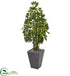 Silk Plants Direct Schefflera Artificial Tree - Pack of 1