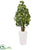 Silk Plants Direct Schefflera Artificial Tree - Pack of 1