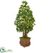 Silk Plants Direct Schefflera Artificial Tree - Pack of 1