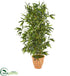 Silk Plants Direct Bamboo Artificial Tree - Pack of 1