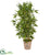 Silk Plants Direct Bamboo Artificial Tree - Pack of 1