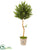 Silk Plants Direct Olive Topiary Artificial Tree - Pack of 1