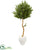 Silk Plants Direct Olive Topiary Artificial Tree - Pack of 1